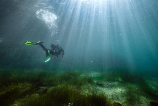 Exploration par un archéologue plongeur du Projet Titica, dans la baie de Sampaya, en juillet 2017. TEDDY SEGUIN/ULB