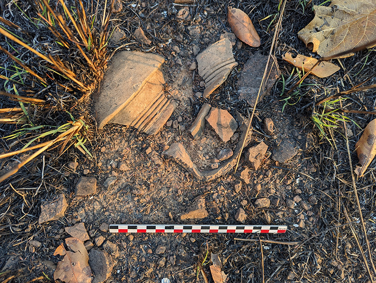 Céramiques de surface, ancienne agglomération de Bunkeya