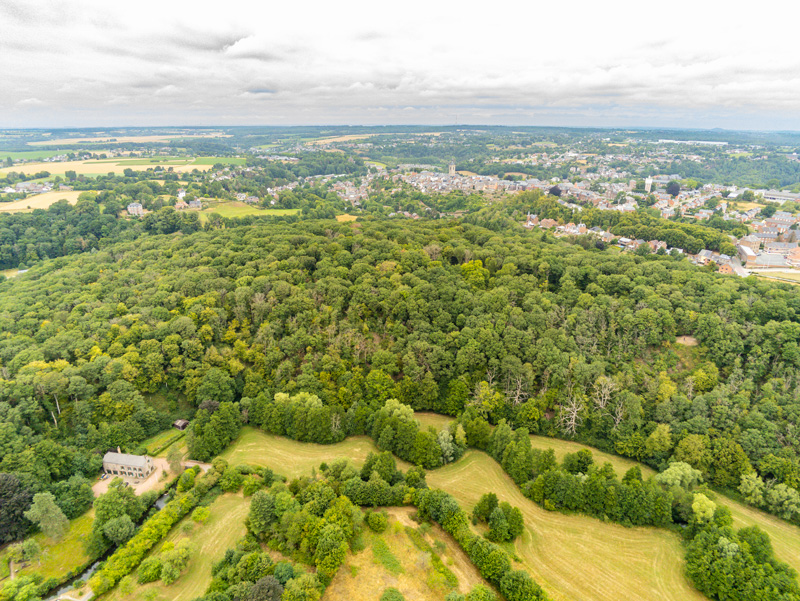 Fig.1: Vue aérienne du “Bois du Grand Bon Dieu”