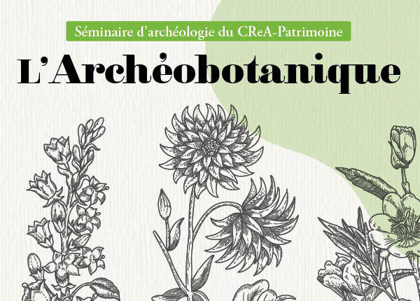 Séminaire d'archéologie - L'archéobotanique